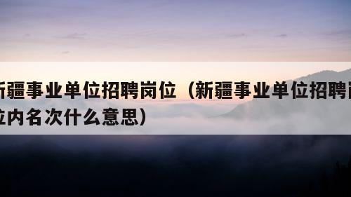 新疆事业单位招聘岗位（新疆事业单位招聘岗位内名次什么意思）