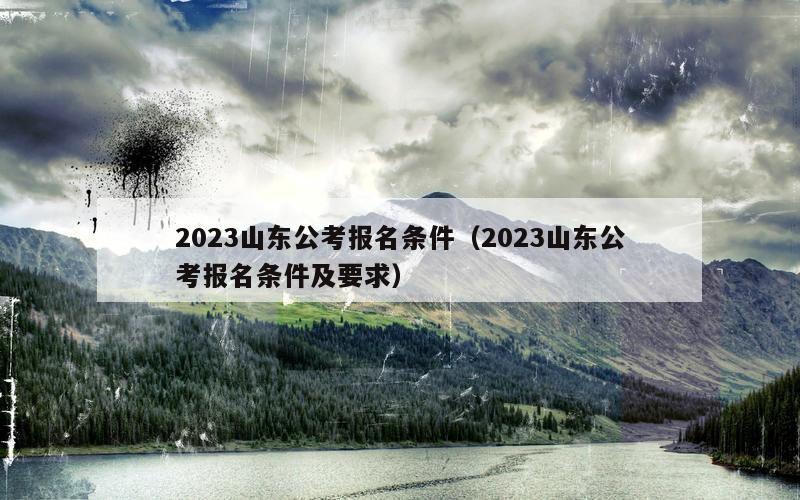 2023山东公考报名条件（2023山东公考报名条件及要求）