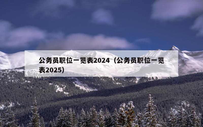 公务员职位一览表2024（公务员职位一览表2025）