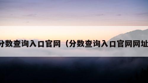 分数查询入口官网（分数查询入口官网网址）