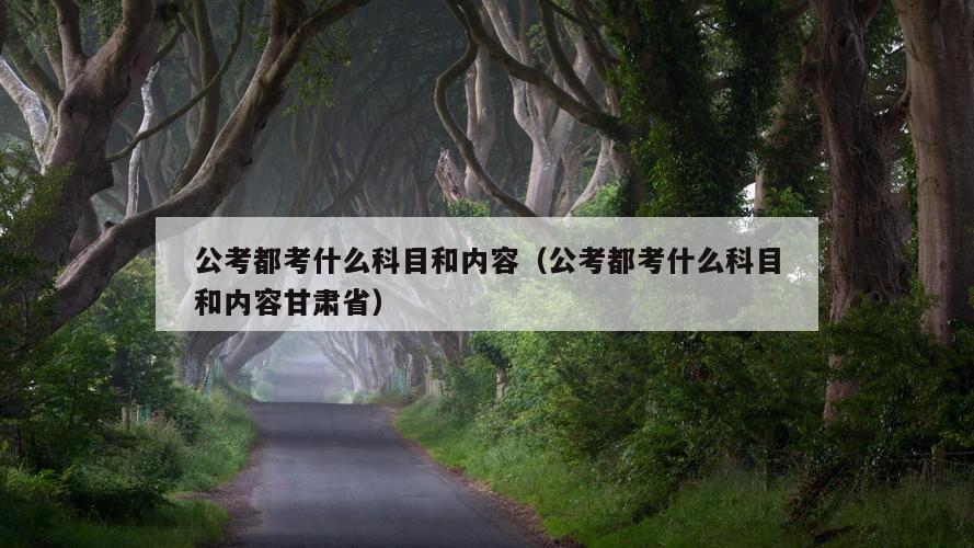 公考都考什么科目和内容（公考都考什么科目和内容甘肃省）