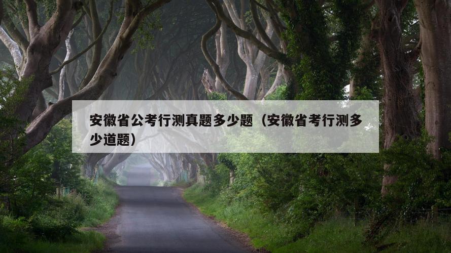 安徽省公考行测真题多少题（安徽省考行测多少道题）