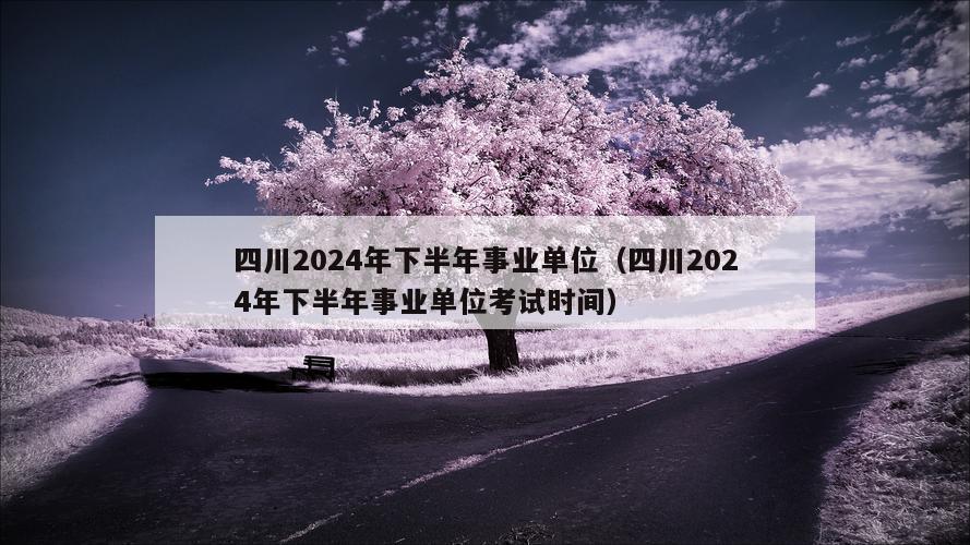 四川2024年下半年事业单位（四川2024年下半年事业单位考试时间）