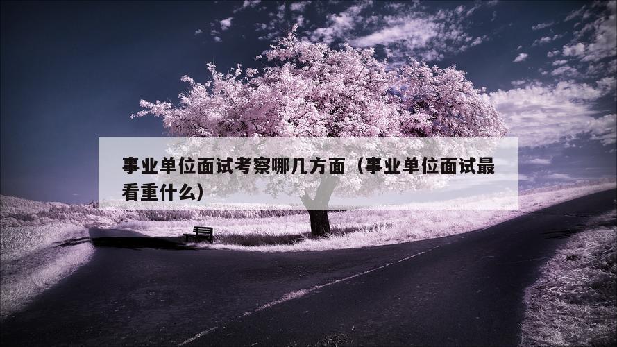 事业单位面试考察哪几方面（事业单位面试最看重什么）