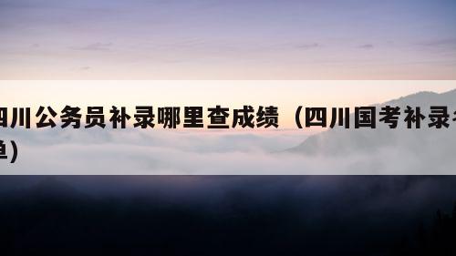 四川公务员补录哪里查成绩（四川国考补录名单）