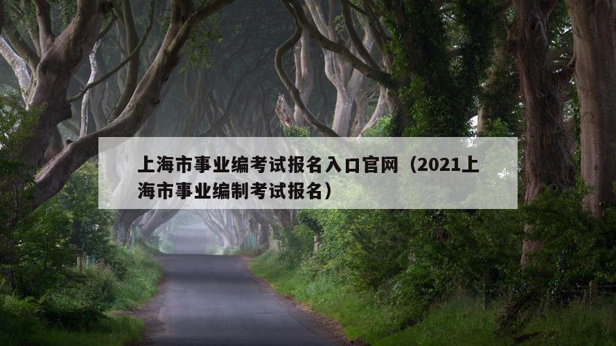 上海市事业编考试报名入口官网（2021上海市事业编制考试报名）