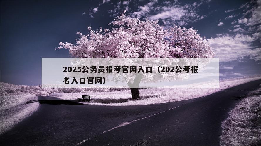 2025公务员报考官网入口（202公考报名入口官网）