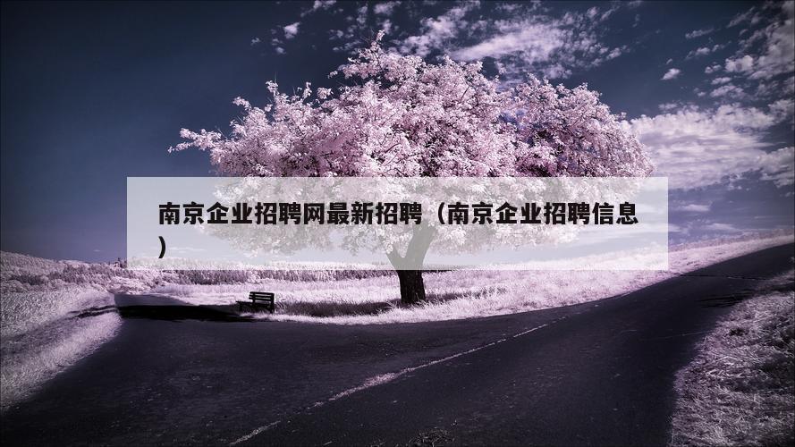 南京企业招聘网最新招聘（南京企业招聘信息）